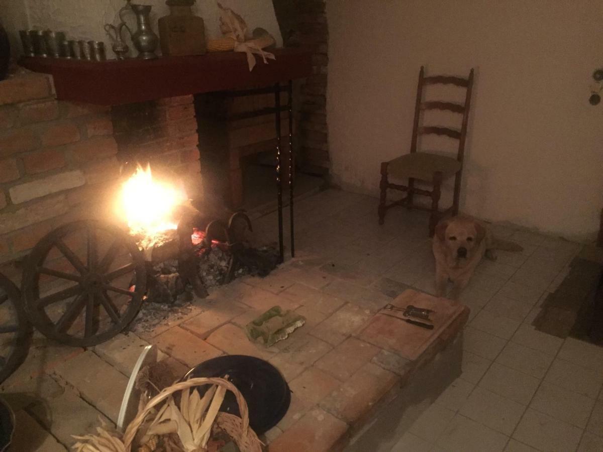 Appartement Gutshaus Schwarzenhof à Dargun Extérieur photo